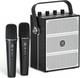 100w Powerful Voice Amplifier With 2 Wireless Microphones, Big Pro Sound Portabl