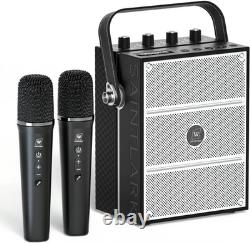 100W Powerful Voice Amplifier with 2 Wireless Microphones, Big Pro Sound Portabl