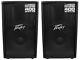 (2) Peavey Pv115d 15 800w Pro Active Powered Speakers Amplified With Class D