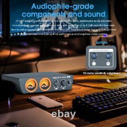 HIFI XLR Balanced Digital Power Amplifier Desktop Audio Amp withVU Meter 300W+300W