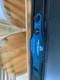 Peavey Gps1500 Professional Stereo Power Amplifier With Ddt 750 Watts/ch