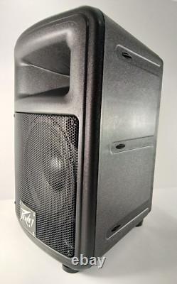 Enceinte Bluetooth amplifiée PEAVEY Pro Audio avec module amplificateur LASE