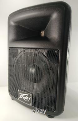 Enceinte Bluetooth amplifiée PEAVEY Pro Audio avec module amplificateur LASE