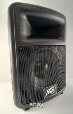 Enceinte Bluetooth amplifiée PEAVEY Pro Audio avec module amplificateur LASE