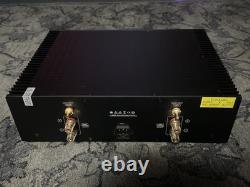 Transaudio D5 Pro Master Edition Amplificateur 115 volts